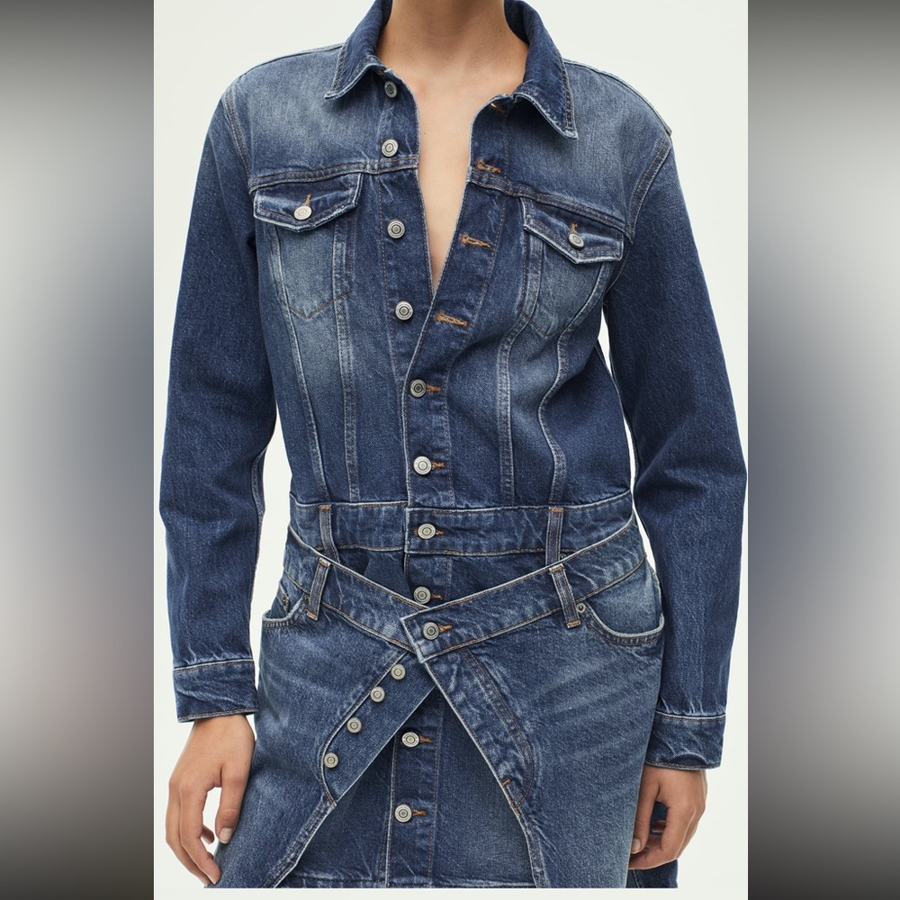 NET Zara Denim Mini Dress - Picture 2 of 11
